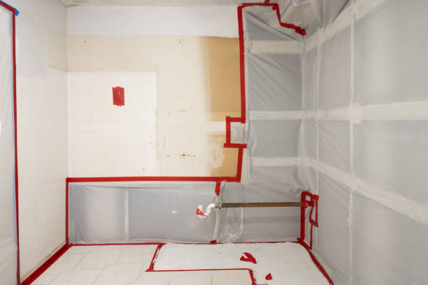 Rolla, MO Mold Inspection, Removal & Remediation Company